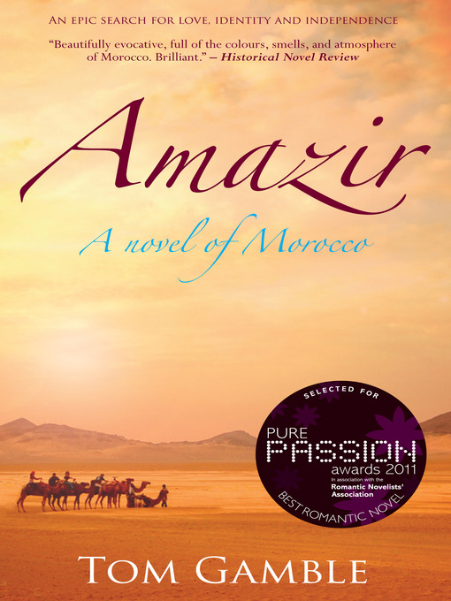 Cover image for Amazir